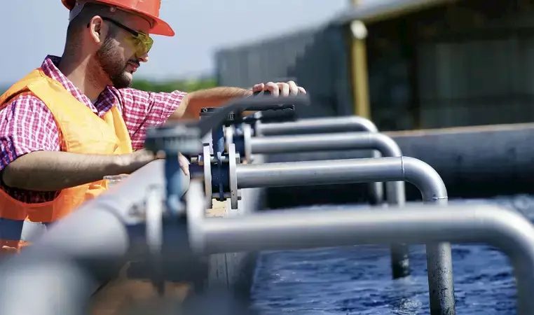 Diversity of Experience